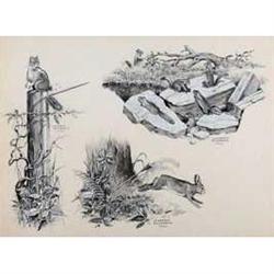 Clarence Ellsworth, Monotone