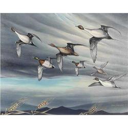 Don Hummell, Oil on Canvas