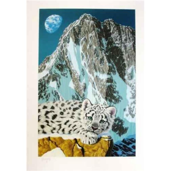 Schimmel  Snow Leopard 