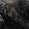 Image 2 : Martin Katon, "Black Leopard Cub" Original Oil Painting on Canvas, Hand Signed with Letter Authentic