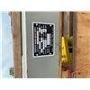 Image 2 : Chester Worm Drive 1 Ton Hoist