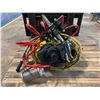 Image 3 : Budgit 1 Ton Air Chain Hoist, M/N: BAHC0130