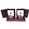 Image 1 : Lot of 2x 2012 & 2013 Canada $20 Venetian Glass Fine Silver Coins. Includes 2012 Aster and Bumblebee