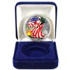 Image 1 : 1994 USA 1oz Coloured Fine Silver Eagle Encapsulated in Blue Display Box. (TAX Exempt)
