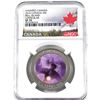 Image 1 : 2016 Canada 25-cent Haunted Canada: Bell Island Coin NGC Certified SP-70