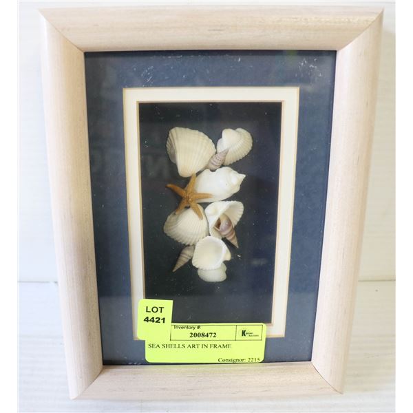 SEA SHELLS ART IN FRAME