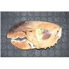 Image 1 : LOBSTER CLAW