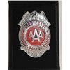 Image 2 : VINTAGE AAA LIEUTENANT BADGE