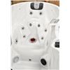 Image 4 : BRAND NEW SPA BLISS JACUZZI MODEL 888D GREY IN COLOUR