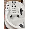 Image 2 : BRAND NEW SPA BLISS JACUZZI MODEL 888D GREY IN COLOUR