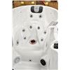 Image 4 : BRAND NEW SPA BLISS JACUZZI MODEL 888D GREY IN COLOUR