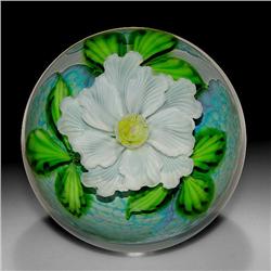 Mayauel Ward 2005 White Flower Paperweight