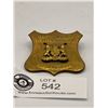 Image 1 : Traffic Warden Johannesburg Cap Badge