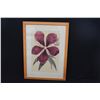 Image 1 : FRAMED JOHN KELLY ART PRINT, "HIBISCUS" (23 1/2" X 32 1/2")