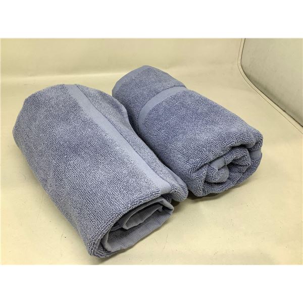 Lot Of 2 Blue Towels