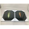 Image 1 : Lot Of 2 Carrot Photos