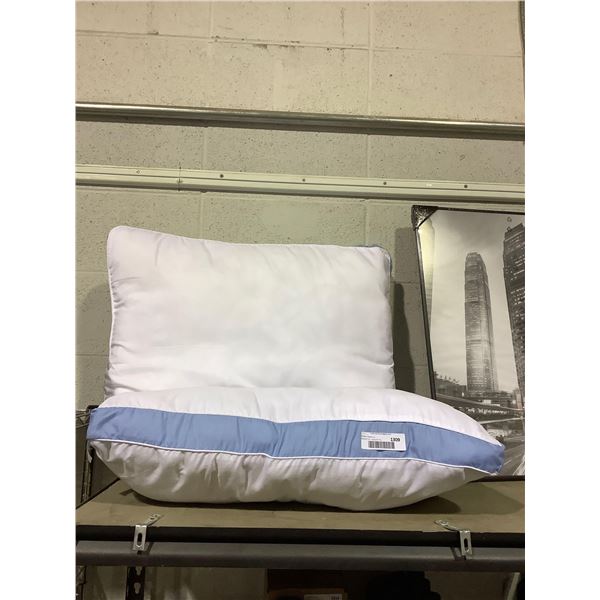 Standard Size Pillow Lot of 2