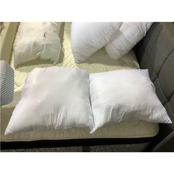 Acanva Pillow Insert Lot of 2 (22in x 22in)