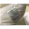 Image 2 : Acanva Pillow Insert Lot of 2 (22in x 22in)