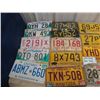 Image 2 : 17 License Plates