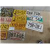 Image 3 : 17 License Plates