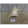 Image 1 : Inuit Carving on Antler - Carved Signature