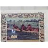 Image 2 : (TR) Horse Pictures w Labelled Breeds 33" x 40"