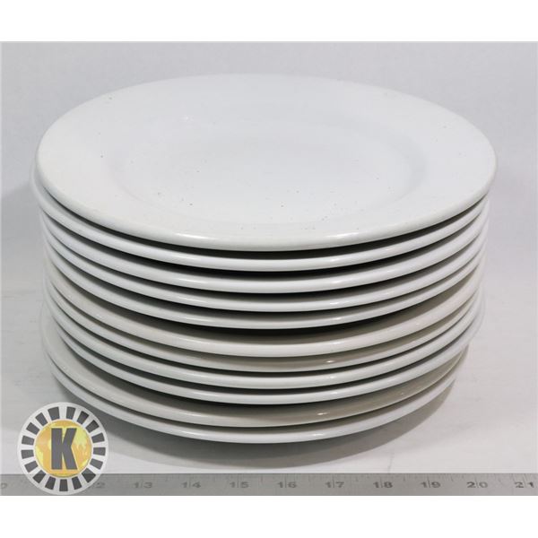 11 LG DINNER PLATES