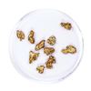 Image 1 : Lot of Gold Nuggets 4.11 grams Total Weight