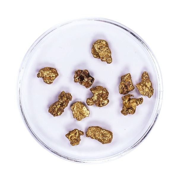 Lot of Gold Nuggets 4.88 grams Total Weight