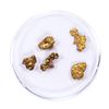 Image 2 : Lot of Gold Nuggets 3.26 Grams Total Weight