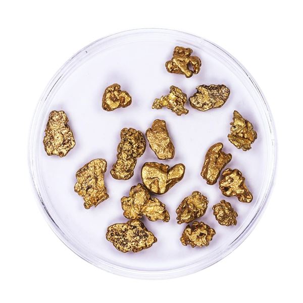 Lot of Gold Nuggets 7.51 grams Total Weight