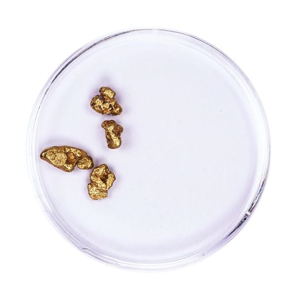 Lot of Gold Nuggets 1.90 grams Total Weight