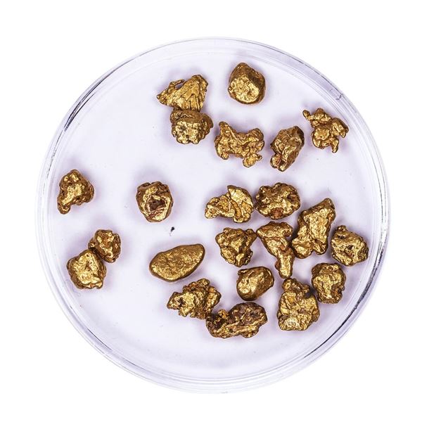 Lot of Gold Nuggets 8.41 grams Total Weight