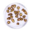 Image 2 : Lot of Gold Nuggets 8.41 grams Total Weight