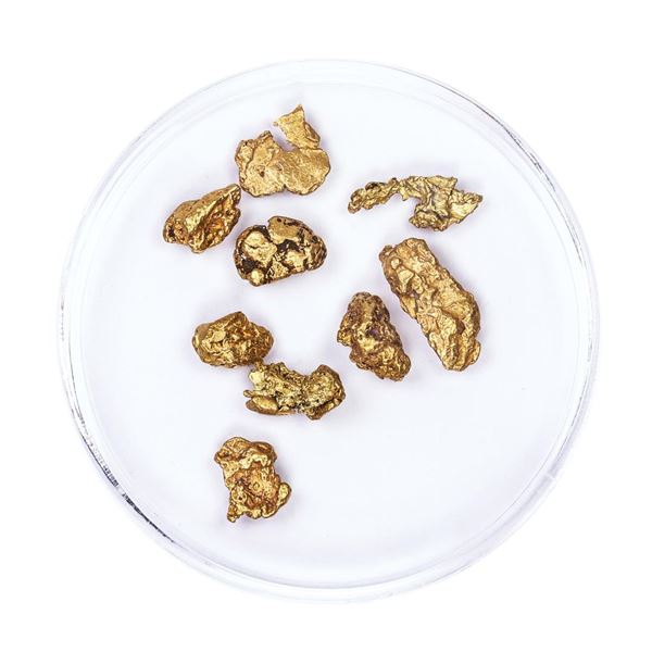 Lot of Gold Nuggets 4.28 grams Total Weight