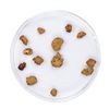 Image 2 : Lot of Gold Nuggets 1.96 Grams Total Weight