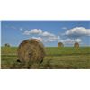 Image 1 : Hay