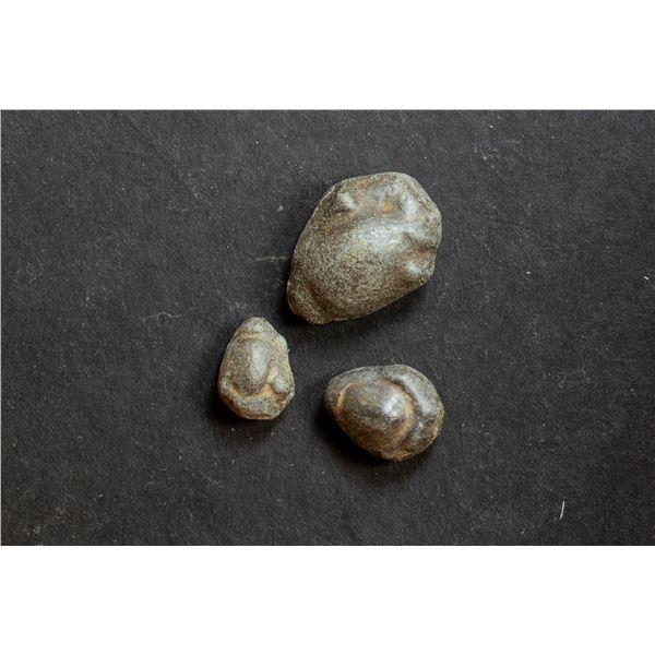 THAILAND: LOT of 3 lead cowries