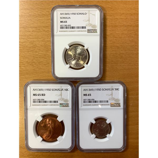 SOMALIA: LOT of 3 NGC-certified coins