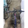 Image 2 : BLUE RALEIGH BIKE