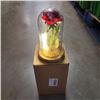 Image 1 : 2 NEW GLASS DOME ENCASED IMITATION LIGHT UP ROSES