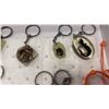 Image 3 : TRAY OF 12 ENCASED BUG KEYCHAINS