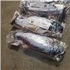 Image 4 : 4 NEW 12" WIGGLY FISH RECHARGEABLE CAT TOYS RETAIL $17.99 EACH