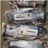 Image 3 : 4 NEW 12" WIGGLY FISH RECHARGEABLE CAT TOYS RETAIL $17.99 EACH