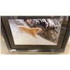 Image 2 : ROBERT BATEMAN TIGER PRINT