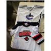 Image 3 : 4 KIDS SPORTS JERSEYS - CANUCKS, SENATORS, CUBS AND BLUE JAYS