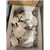Image 1 : Box shells