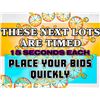 Image 1 : THESE NEXT REMAINING LOTS WILL BE TIMED ONLY...