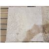 Image 2 : PALLET OF 154 PCS OF 12X12 CREME LATTE TILE